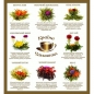 Набір чаю подарунковий "Квіткові шедеври", Країна Чаювання ,80 г