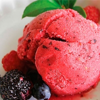 Мороженое Лесная ягода сорбет 3 кг