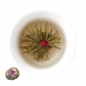 Білий чай Червона квітка весни Діамантовий Дракон 100 г, фольга